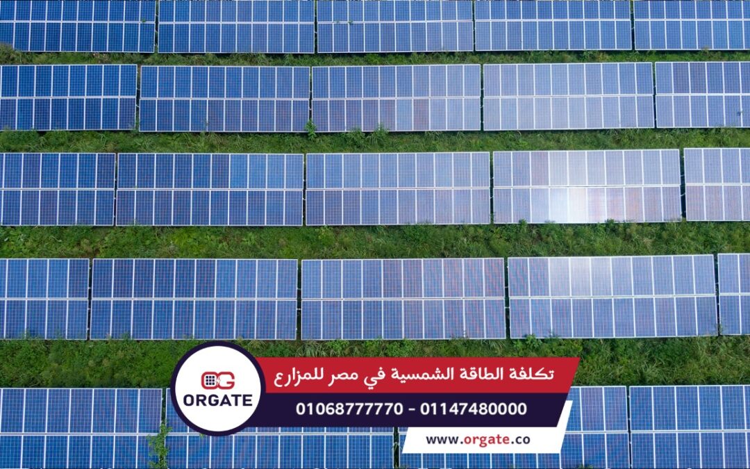 تكلفة الطاقة الشمسية في مصر للمزارع